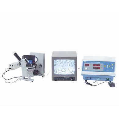 點擊在新窗口中查看此圖